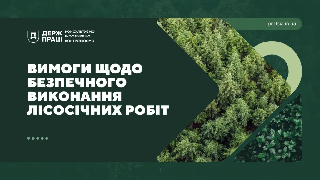 Про безпечневиконання лісосічних робіт: інфографіка - Фото 1