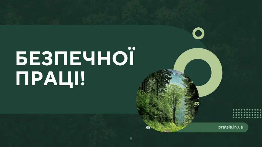 Про безпечневиконання лісосічних робіт: інфографіка - Фото 8