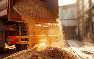 Підготовка вантажного автомобіля до сезону перевезення продукції зернової групи